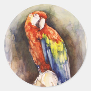 Redonda Precious Parrot Pegatina