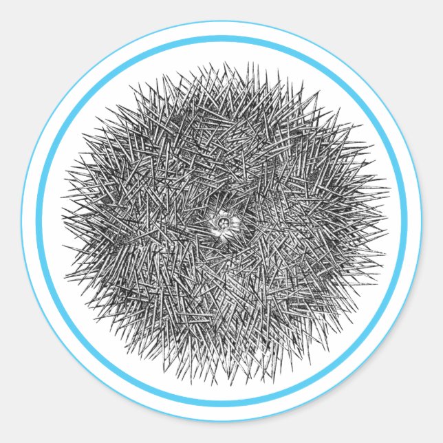Redonda Pricky Urchin pegatina (Anverso)
