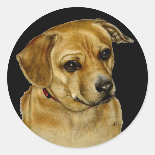 Redonda Pug Dachsy Pegatina (Anverso)