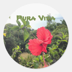 Redonda Pura vida con Hibiscus Pegatina