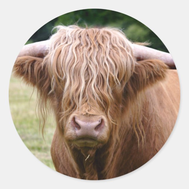 Redonda Quién apagó las luces Pegatina (Anverso)