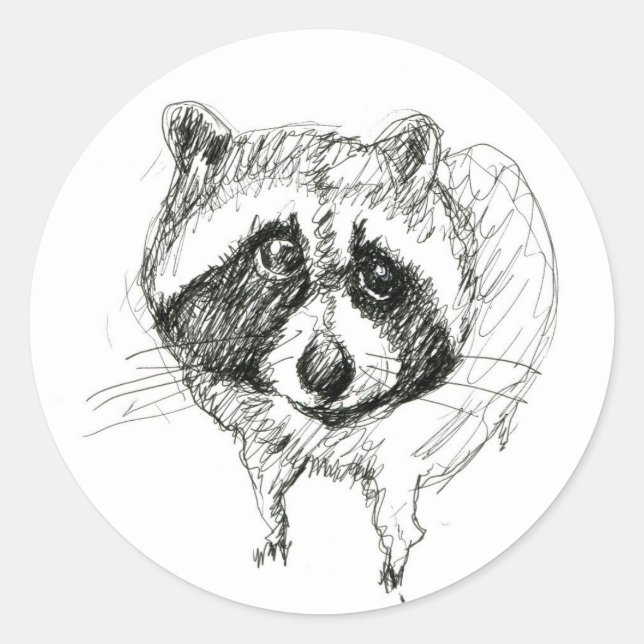 Redonda Raccoon Pegatina (Anverso)