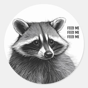 Redonda Raccoon Pegatina