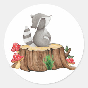 Redonda Raccoon sobre el Pegatina de Stump en el árbol