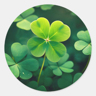 Redonda ¡Rara búsqueda! Lucky Four Leaf Clover Pegatina