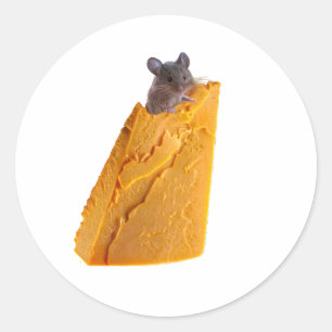 REDONDA RATÓN Y QUESO EN PEGATINA