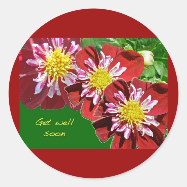 Redonda Red Dahlia se pone bien pronto Pegatina (Anverso)