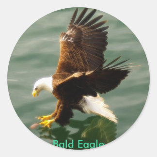 Redonda Regalo de Pegatina motivacional del águila calva
