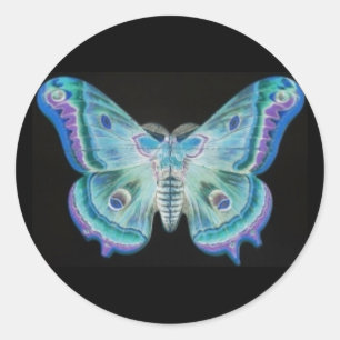 Redonda Resumen de Moth Pegatina