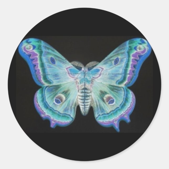 Redonda Resumen de Moth Pegatina (Anverso)