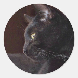 Redonda Retrato de mi niño, Pegatina de la Ronda Charlie