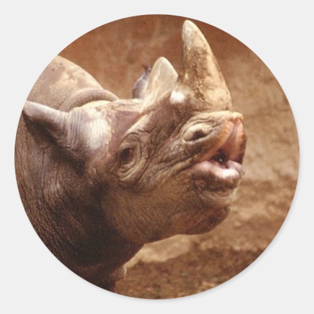 Redonda Rhino pegatina (Anverso)