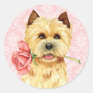 Redonda Rosa de Valentine Cairn Terrier Pegatina redondo c
