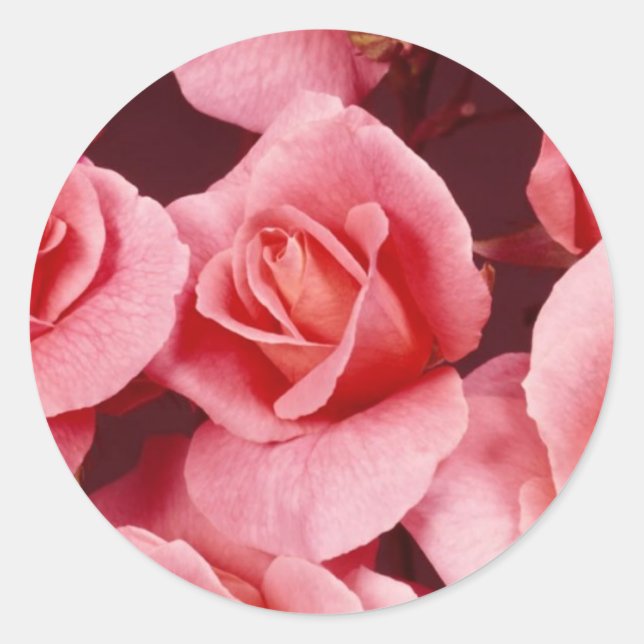 Redonda Rosa Elegance Pegatina (Anverso)