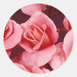 Redonda Rosa Elegance Pegatina