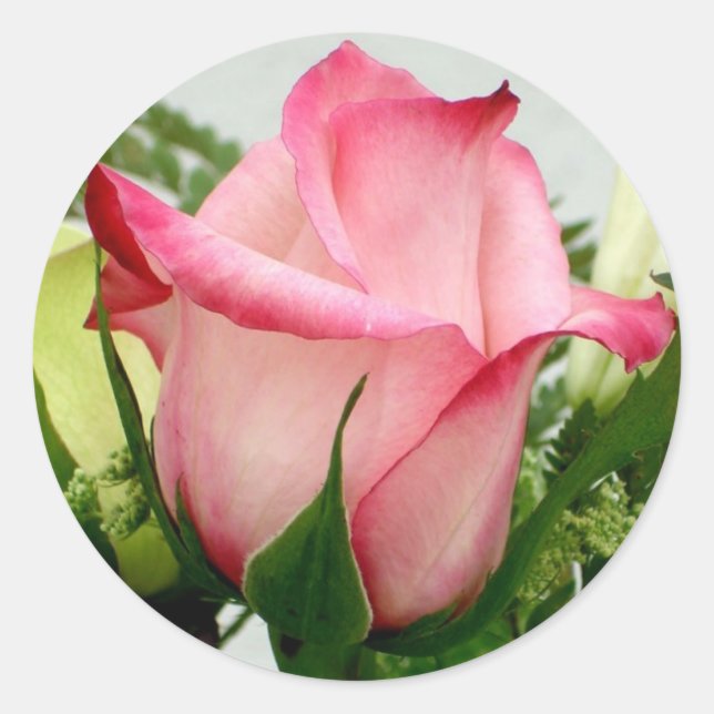 Redonda Rosa Pegatina (Anverso)