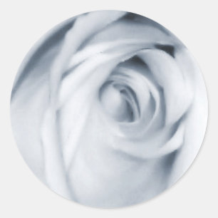 Redonda rosas de pegatina azul silencioso