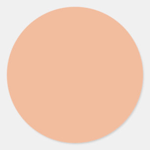 Redonda Rosy Peach Beige Classic Round Pegatina