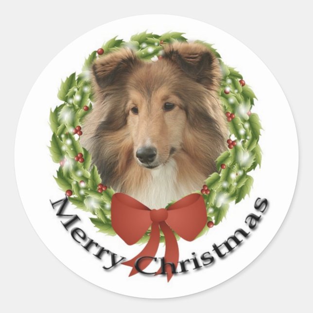 Redonda Sheltie Holiday #3 Pegatina (Anverso)