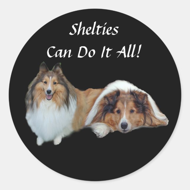 Redonda Sheltie Pegatina (Anverso)