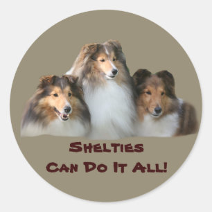Redonda Sheltie Pegatina