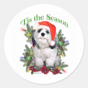 Redonda Shih Tzu 'Esta es la temporada - Pegatina