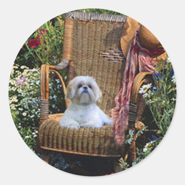 Redonda Shih Tzu Garden Pegatina (Anverso)
