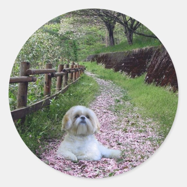 Redonda Shih Tzu Pegatina Flores Púrpura (Anverso)