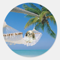 Shih Tzu que cuelga hacia fuera el pegatina