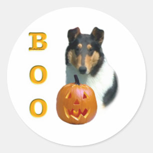 Redonda Smooth Collie Boo - Pegatina