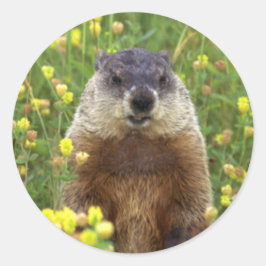 Redonda Soy Pegatina de Groundhog