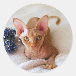 Redonda Sphinx Cat Con Pegatina De Tinsel