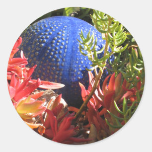 Redonda Suculento Jardín de Plantas con Pegatina Orb