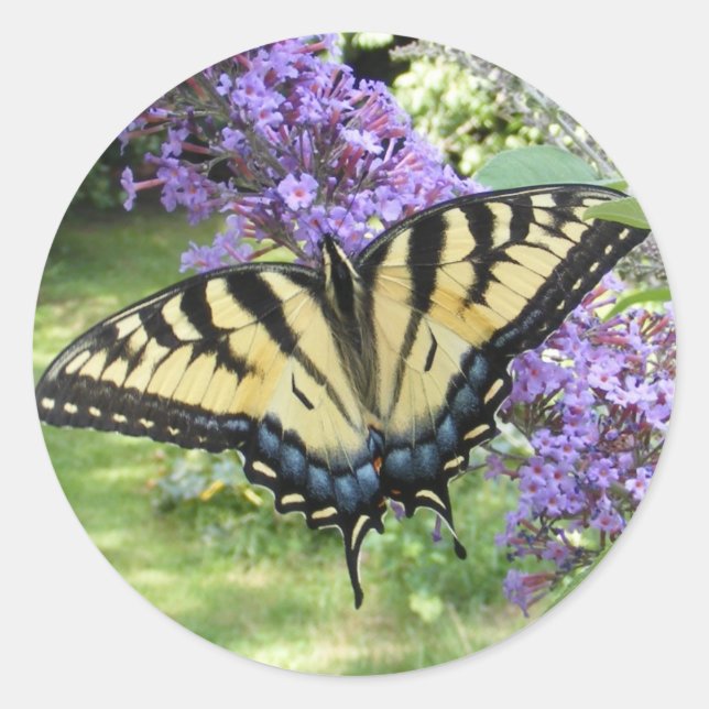 Redonda Swallowtail 94 ~ pegatina (Anverso)