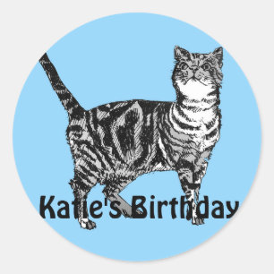 Redonda Tabby Cat Whimsical Blue Chicas Pegatina de cumple
