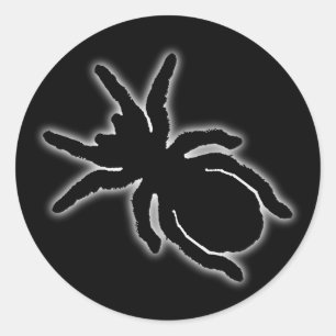 Redonda Tarantula Pegatina