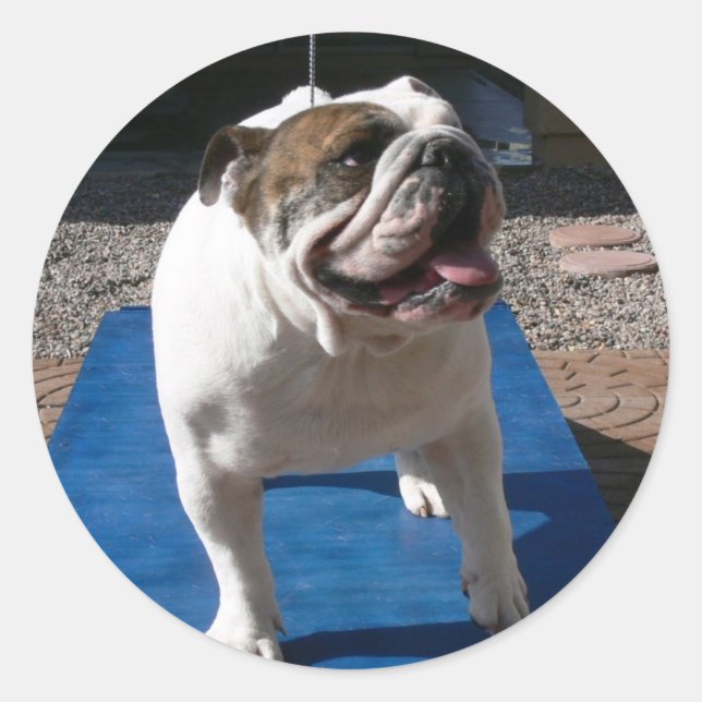 Redonda Titan pegatina (Anverso)