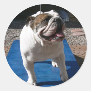 Redonda Titan pegatina