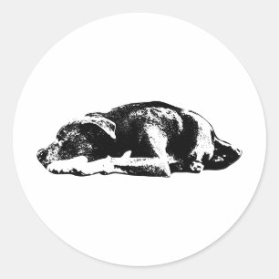Redonda Tranquilo Pitbull Mix Resting Pose Art Pegatina