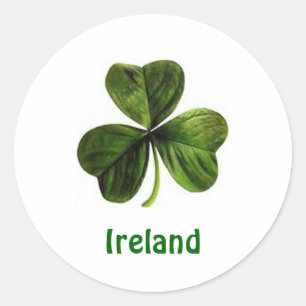 Redonda Trébol de Irlanda - pegatina