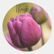 tulips gracias pegatina