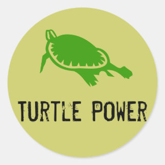 Redonda Turtle Power Pegatina