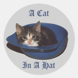 Redonda Un gato en un Pegatina Gorra