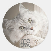 Un hermoso Pegatina de Meow