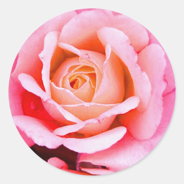 Redonda Un Rosa Es Un Pegatina Rosa (Anverso)
