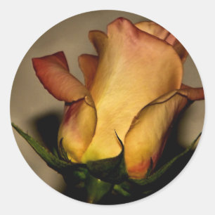 Redonda Un rosa para su pegatina
