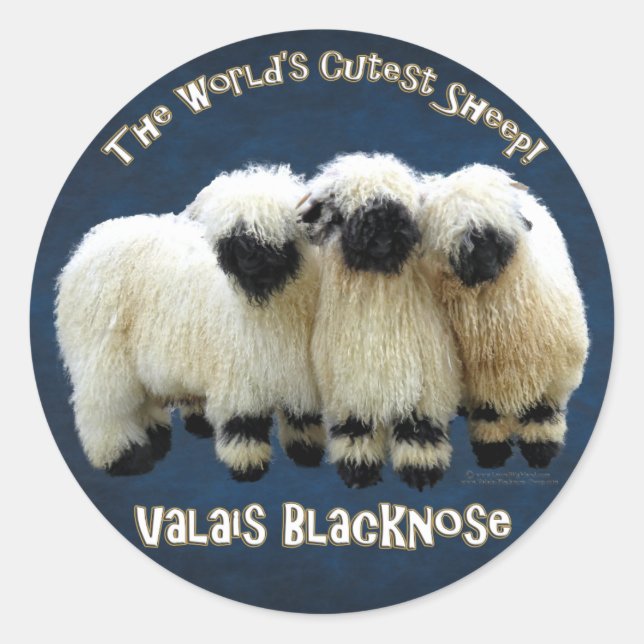 Redonda Valais Blacknose - El mejor Pegatina de ovejas del (Anverso)