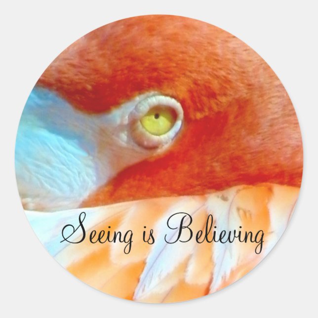 Redonda Veo_ Pegatina (Anverso)