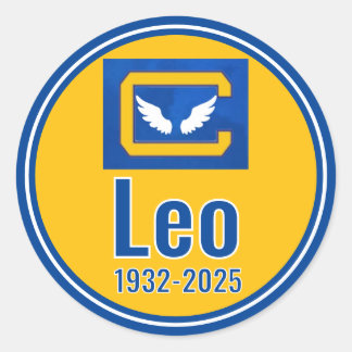 Redonda Versión alternativa de Pegatina de casco personali