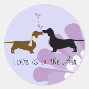 Redonda Whimsical Dachshunds Kissing Pegatina